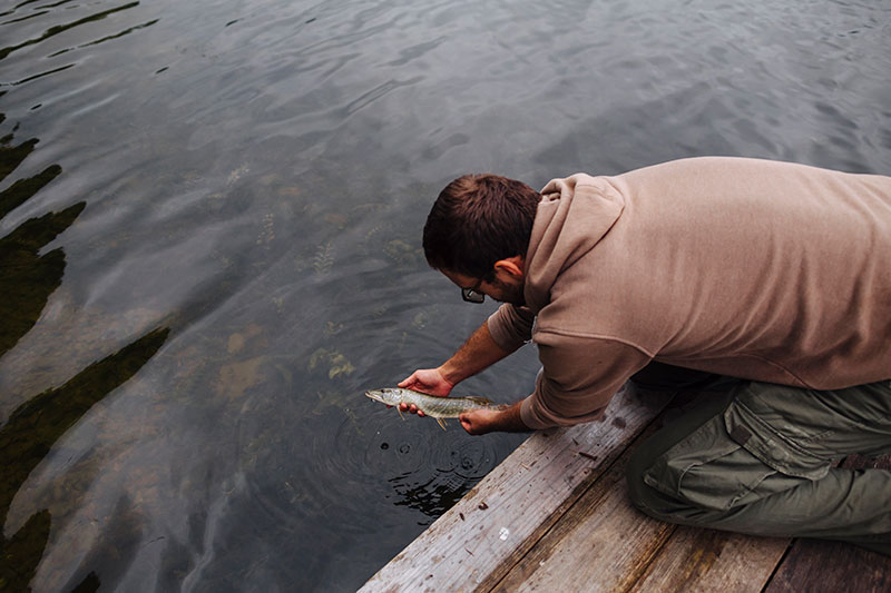 Homem devolvendo peixe na água